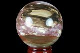 Colorful Petrified Wood Sphere - Madagascar #81546-1